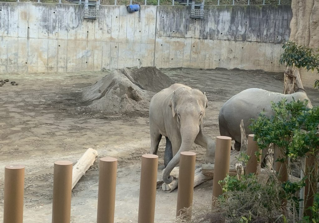 多摩動物公園