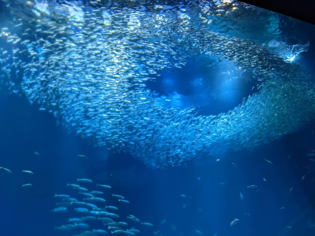 大洗水族館